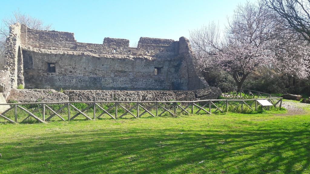 Home To Rome, Rome